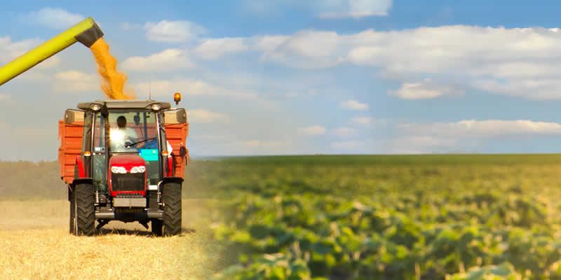 Insecticidas en Paraguay