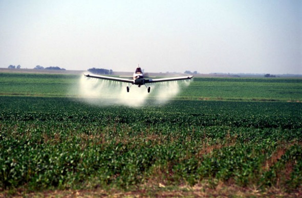 Insecticidas en Paraguay IAPP-SA